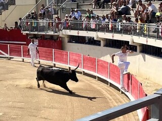 Appartamento Le Grau-du-Roi Ambiente 19