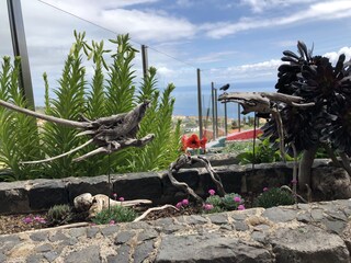 Monster in the flowerbed