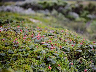 Ferienhaus Welt Außenaufnahme 6