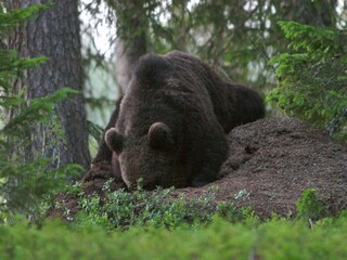Ferienhaus Welt Außenaufnahme 10