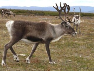 Ferienhaus Welt Außenaufnahme 13