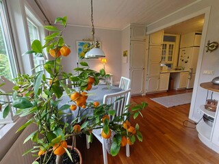 Vakantiehuis Ellös  19