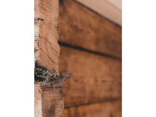 tanteanna-juli22-071