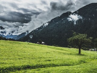 tanteanna-juli22-077