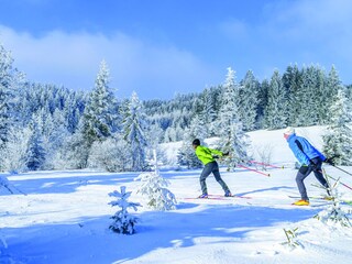 Ferienwohnung Arrach Umgebung 7
