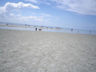 Appartamento per vacanze Borkum Ambiente 14