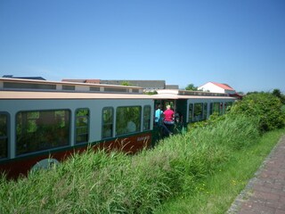 Vakantieappartement Borkum Omgeving 16