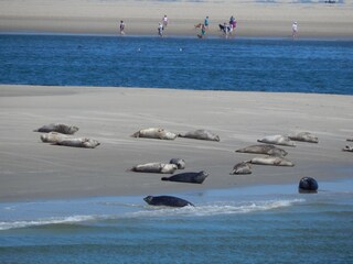 Apartamento de vacaciones Borkum Entorno 23