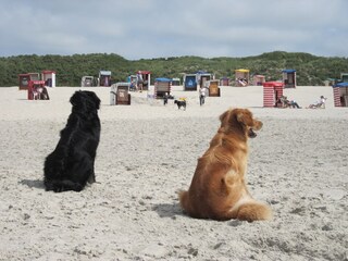 Apartamento de vacaciones Borkum Entorno 25