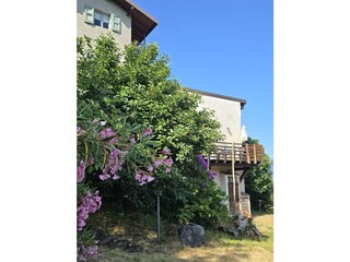 the balcony from the garden