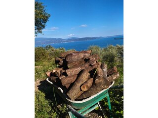 Preparing for winter time