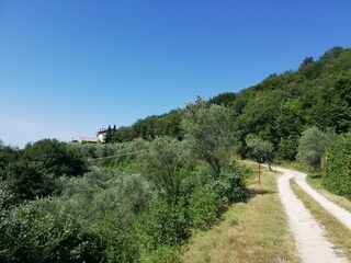 way to the farmhouse