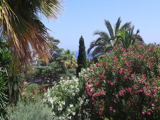 Villa Benissa Environnement 18
