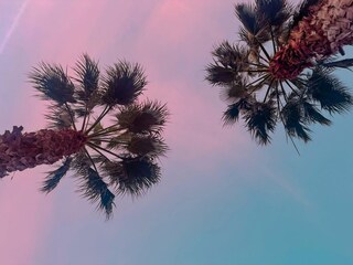 Villa Benissa Ambiente 19