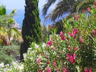 Villa Benissa Entorno 22