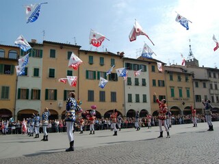 Vakantiehuis Figline Valdarno Omgeving 29