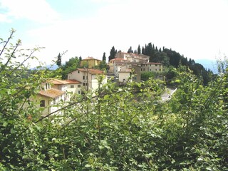 Vakantiehuis Figline Valdarno Omgeving 30