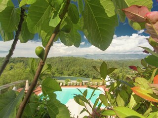 Ferienhaus Figline Valdarno  33