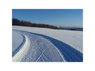 50 km gespurte Loipen im nachegelegenen Ort Geyer