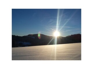 Langlaufen gleich von der Haustür aus