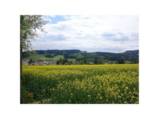 Blick auf unsere Siedlung "Sonnenhöhe"