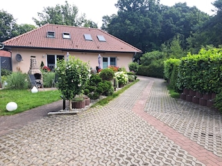 Blick von der Terrasse in den Garten