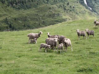 Apartamento Saint Sorlin d Arves Entorno 16