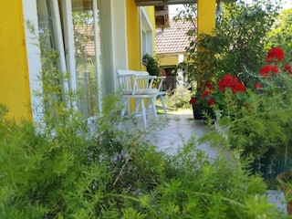 Apartment Draž Außenaufnahme 7