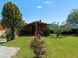 Appartement Bucine Buitenaudio-opname 4