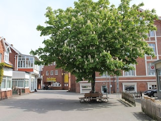 Strandstraße zum Mövennest 2