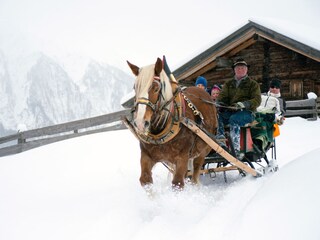 Pferdeschlittenfahrten