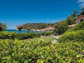 Apartment Biodola  15