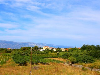 Vakantieappartement Vrsi Buitenaudio-opname 7
