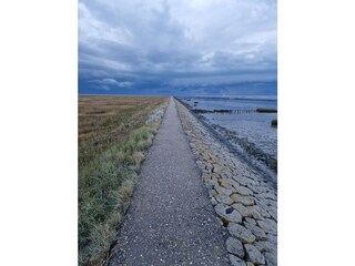 Ferienwohnung Friedrichskoog Umgebung 31
