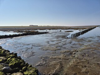 Ferienwohnung Friedrichskoog Umgebung 35