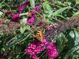 Vakantiehuis Udsholt Strand  17