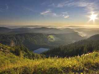 Feldberg -Feldsee