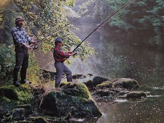 Angelidylle an der Pfreimd