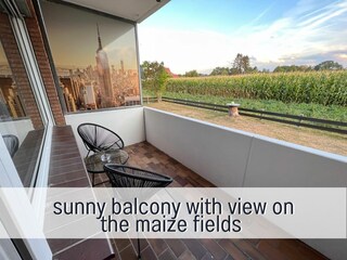 Terrasse / Balkon