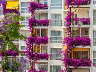 Appartement Torremolinos Buitenaudio-opname 1