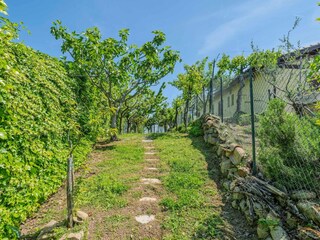 Villa Tolentino Environnement 36