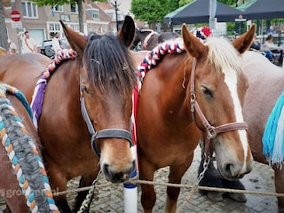 Villa Koudekerke  20