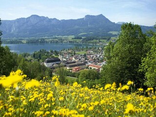 Appartement Hüttau Environnement 21