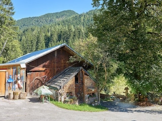 Apartment Hüttau Außenaufnahme 7