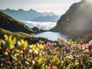Wildseelodersee-am-morgen-christof-willms-3