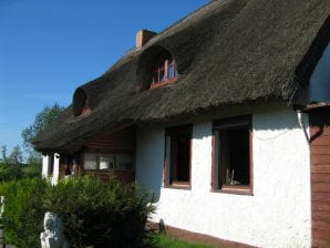 Ferienwohnung Haus am Haff - Dargen - image1