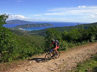 Apartment Portoferraio  22