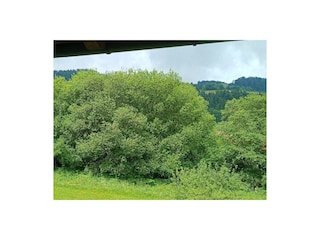 Ferienwohnung Sachrang Außenaufnahme 2