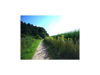 Ferienhaus Welt Umgebung 30