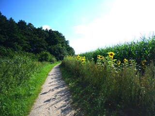 Tolle Rad und Wanderwege durch die Natur
